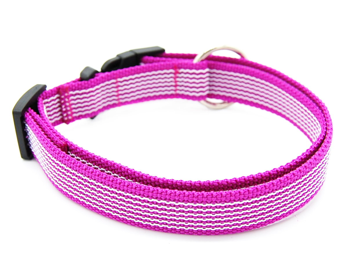 Pink gummiertes Halsband liegt geschlossen etwas seitlich auf weißem Hintergrund