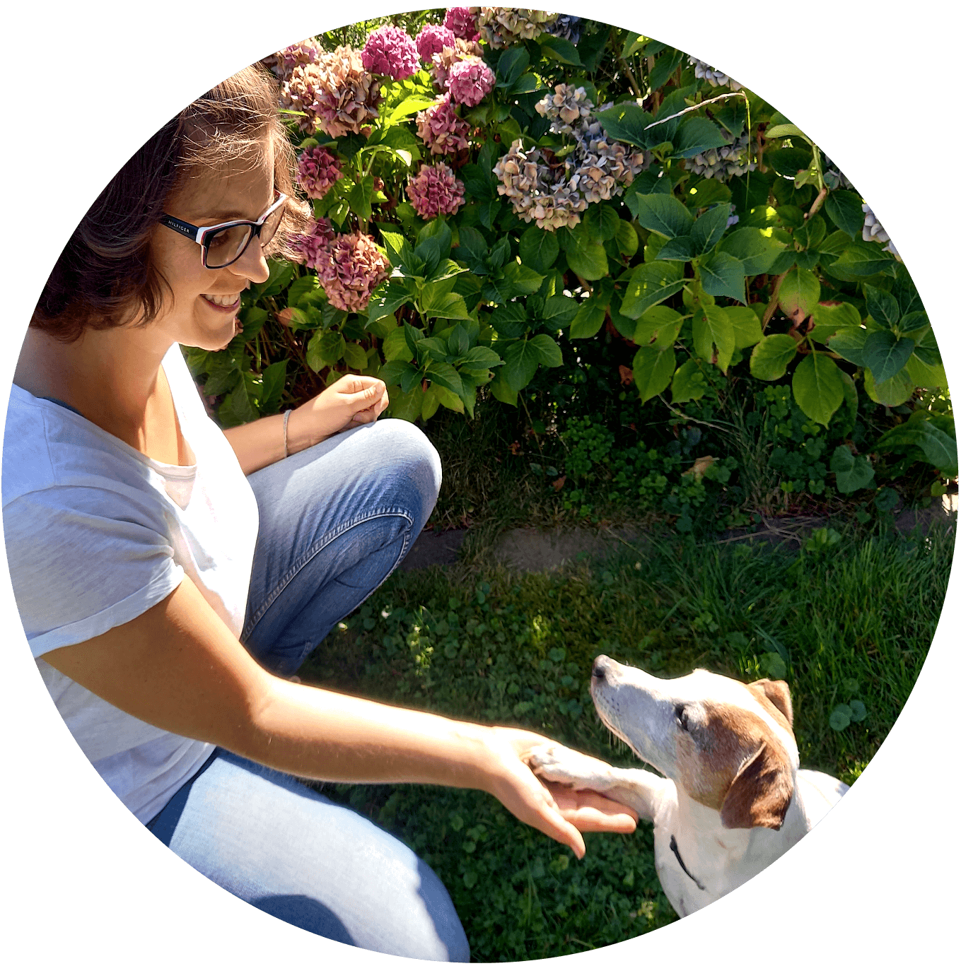 Persönliche Beratung Mira Dahm Wundertiv Mira Dahm schaut zu einem Jack Russell, der sie ebenfalls anschaut. Seine Pfote liegt in ihrer Hand.