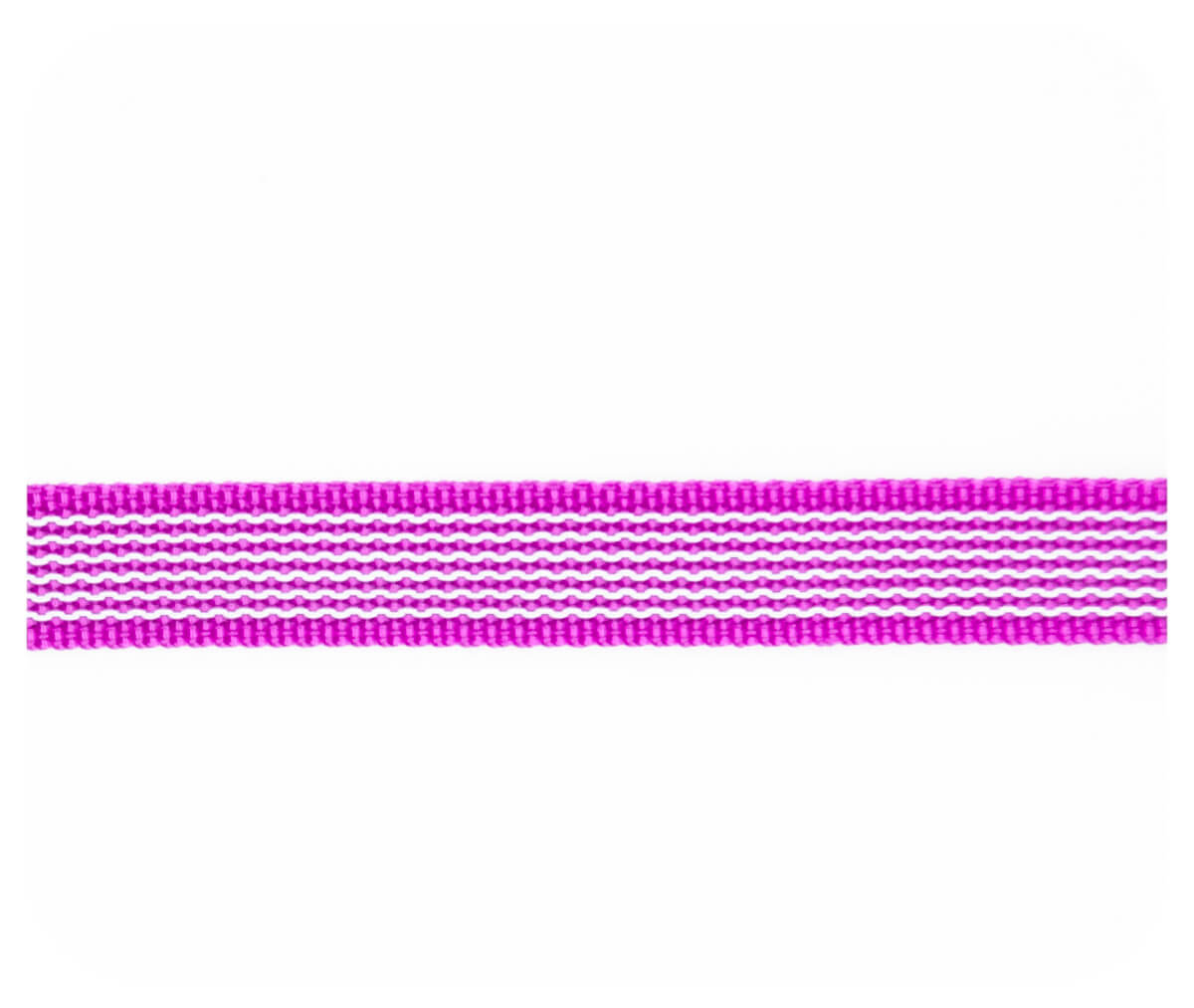 Nahaufnahme von pink gummierten Gurtband auf weißem Hintergrund