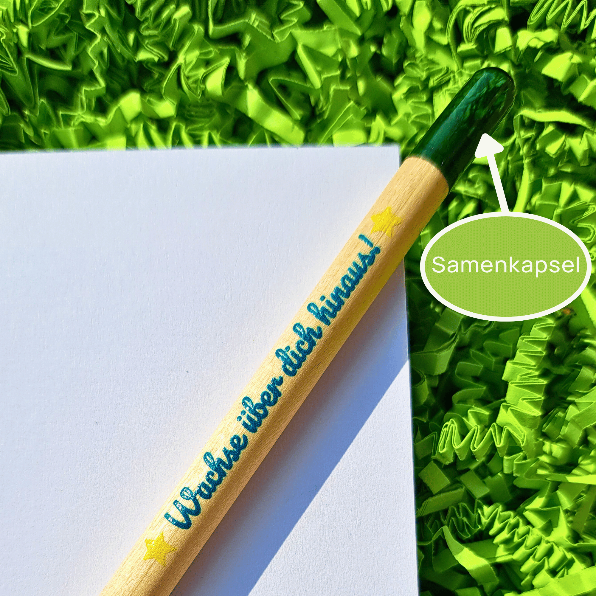 Nahaufnahme eines einpflanzbaren Bleistifts mit der blau/türkis Aufschrift "Wachse über dich hinaus!". Ein weißer Pfeil deutet auf die grüne Samenkapsel am Ende des Stifts. Der Stift liegt auf einem weißen Block, der in grünem Dekogras liegt.