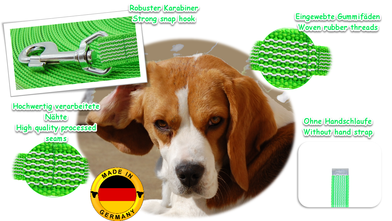 Bild von Beagle in der Mitte. Um ihn herum Auflistung von Bildern und Schrift mit Vorteilen von hellgrüner Schleppleine ohne Handschlaufe.