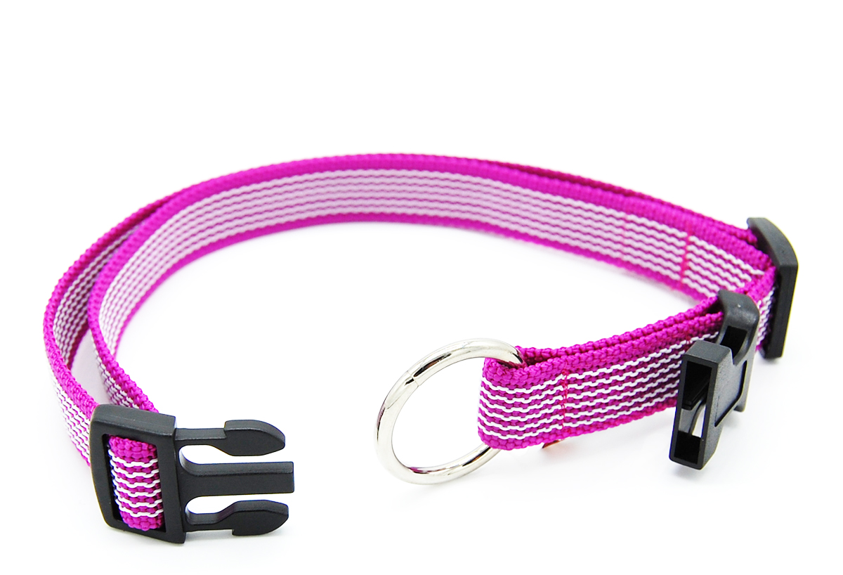 Pink gummiertes Halsband liegt komplett geöffnet auf weißem Hintergrund