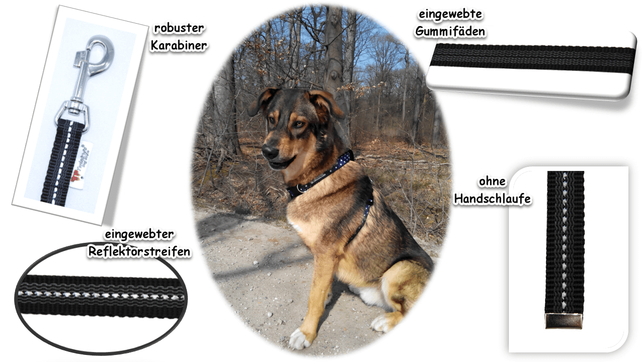 Vorteile Twinkys Dog Style Schleppleine schwarz reflektierend gummiert ohne Handschlaufe Bild von Mischlingshund in der Mitte. Er sitzt auf einem Weg, hinter ihm sind die Stämme von Bäumen zu sehen. Um dieses Bild herum Auflistung von Bildern und Schrift mit Vorteilen von schwarz reflektierend gummierter Schleppleine ohne Handschlaufe.