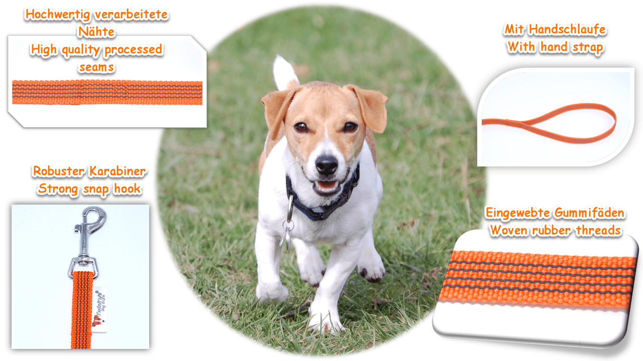 Vorteile Twinkys Dog Style Schleppleine pink gummiert mit Handschlaufe Bild von Jack Russell Terrier, der auf grünem Rasen auf Kamera zuläuft. Um ihn herum Bilder und Schrift mit Vorteilen von orange gummierter Schleppleine mit Handschlaufe