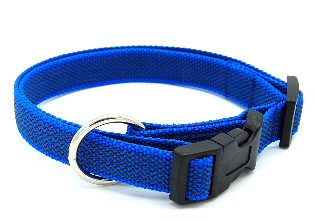 Blau gummiertes Halsband liegt geschlossen auf weißem Hintergrund