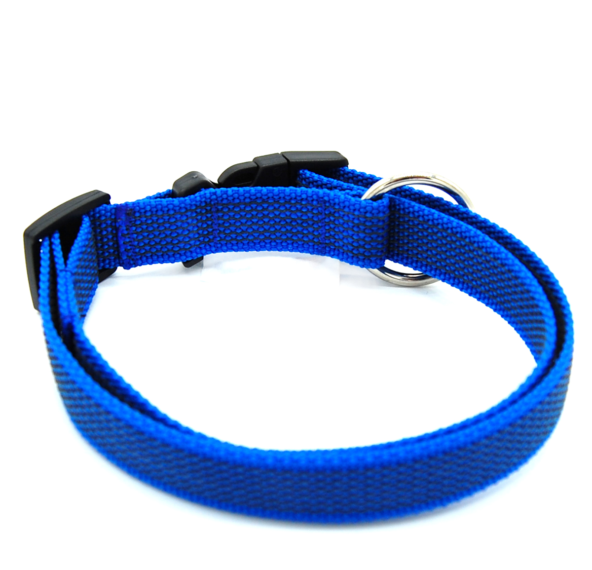 Blau gummiertes Halsband liegt geschlossen etwas seitlich auf weißem Hintergrund