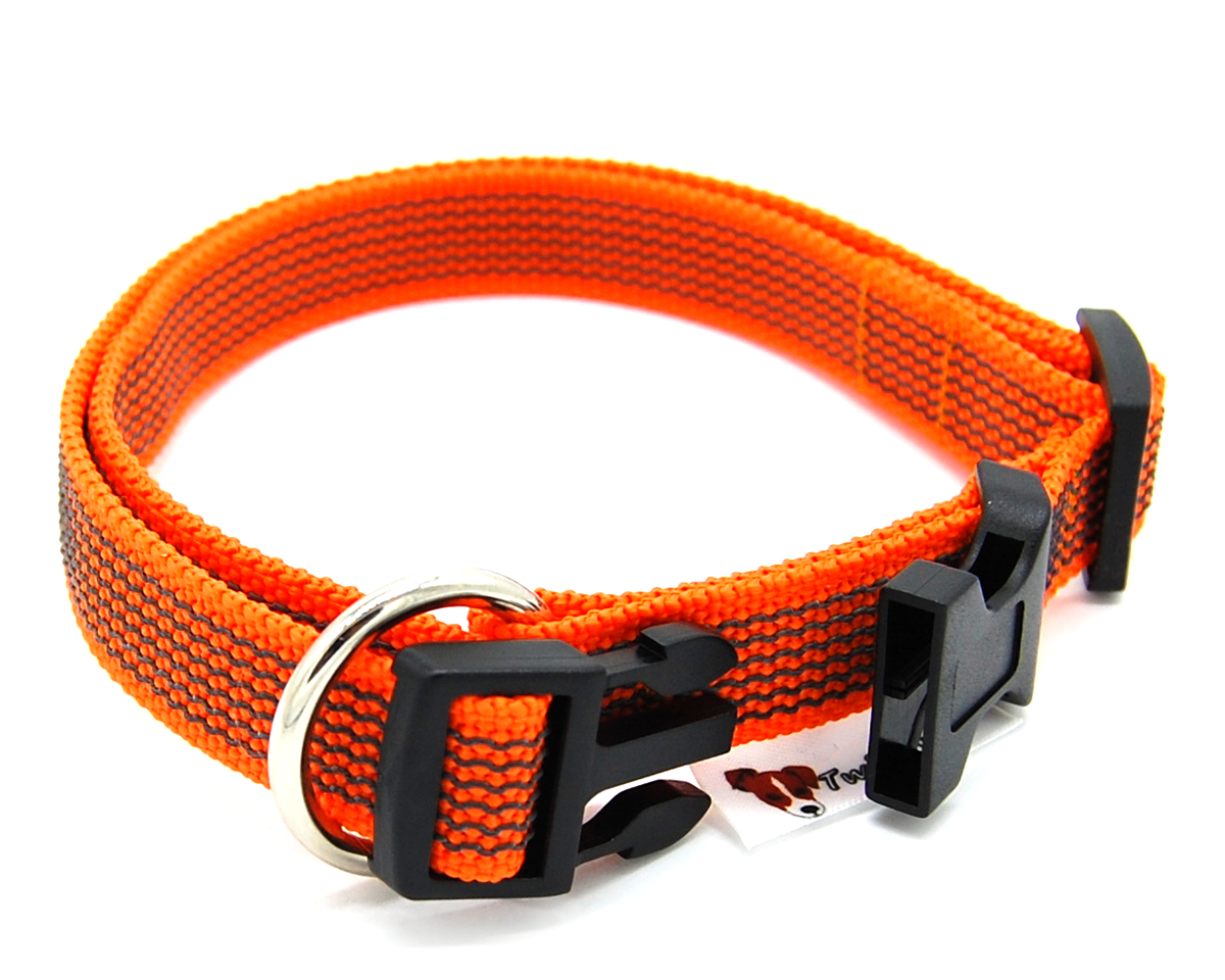 Orange gummiertes Halsband liegt halb geöffnet auf weißem Hintergrund