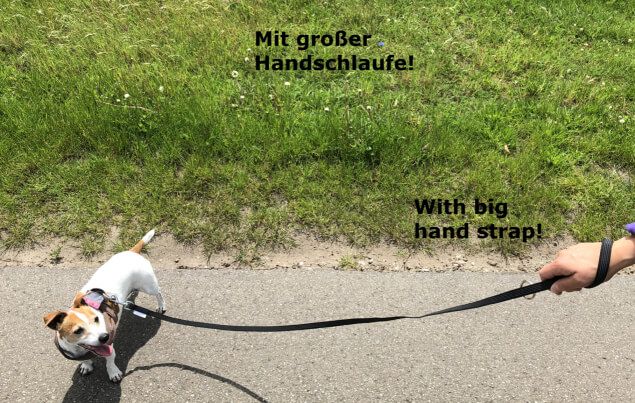 Jack Russell Terrier steht auf der Straße, neben ihm ist etwas Gras zu sehen. Er schaut auf einen Menschen der eine Handschlaufe seiner Leine um die Hand hat und diese hält. Die Leine ist an dem Geschirr des Hundes befestigt
