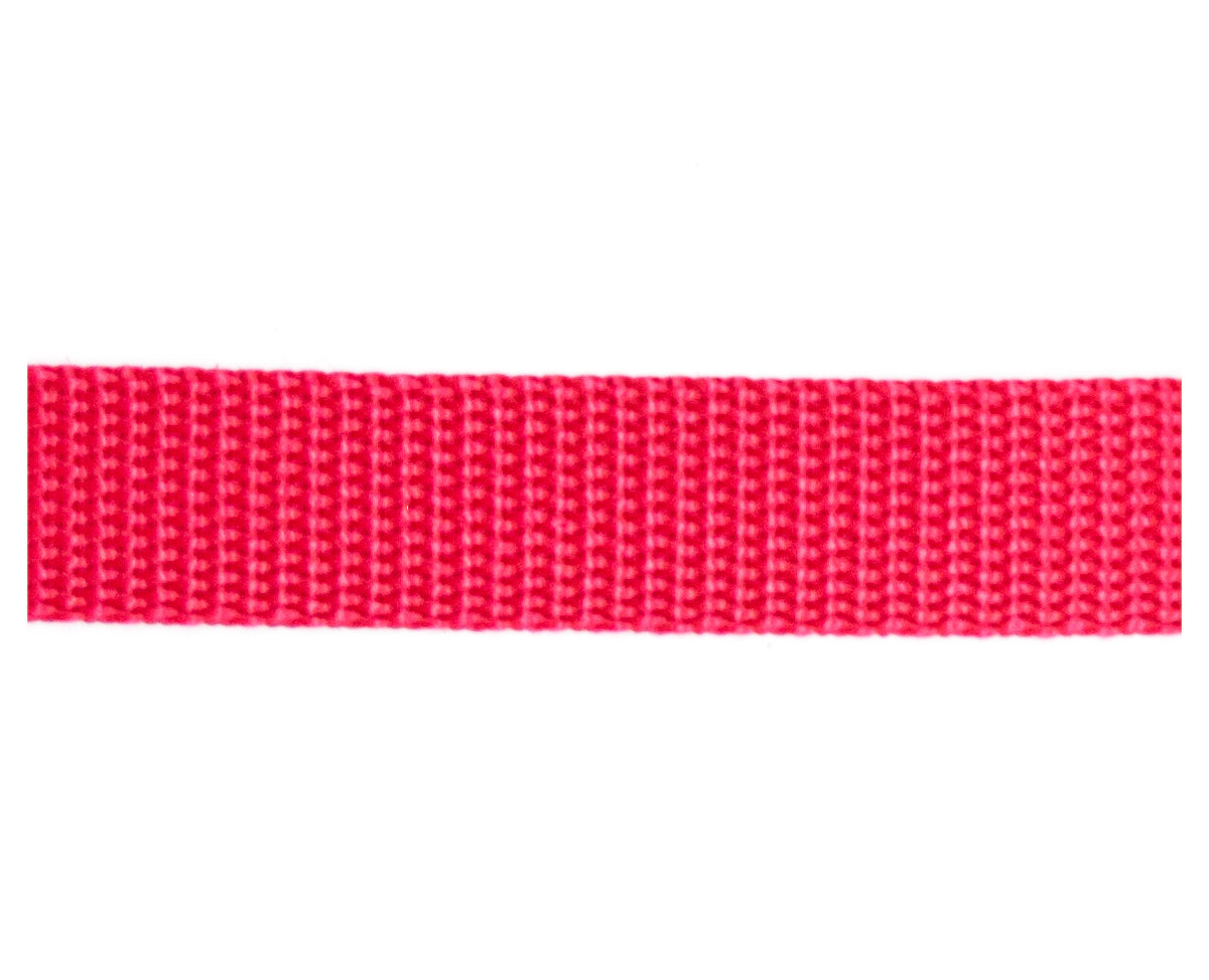Detailbild von leichtem roten Gurtband Leichtes rotes Gurtband auf weißem Hintergrund