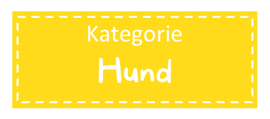 Gelbes Rechteckt mit gestrichelter weißer Umrandung etwas vom Rand entfernt. Darauf mit weißer Schrift: Kategorie Hund