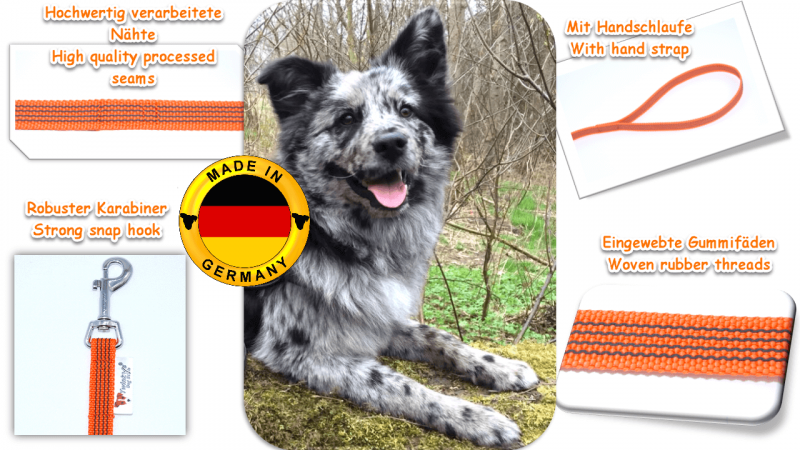 Bild von mittel großem mehrfarbigen Hund in der Mitte. Um ihn herum Bilder und Schrift mit Vorteilen von orange gummierter Schleppleine mit Handschlaufe