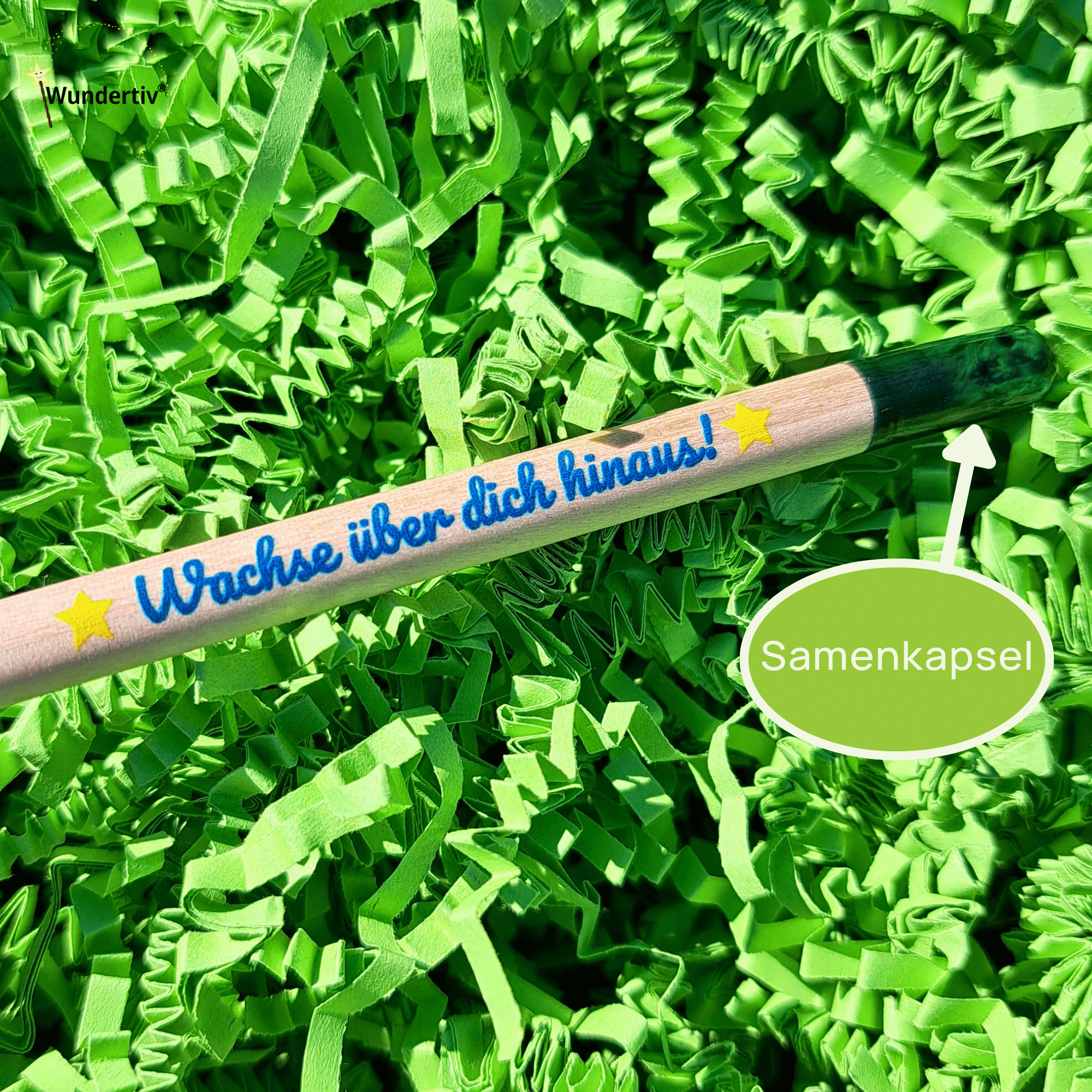 Einpflanzbarer Bleistift mit dem blauen Aufdruck Wachse über dich hinaus und einer grünen Samenkapsel am Ende. Nahaufnahme eines Samenbleistifts in grünem Polstermaterial. Der Text auf dem Holz ist von zwei gelben Sternen eingerahmt. Ein Hinweispfeil zeigt auf die grüne Kapsel, die am Ende des Stifts die Pflanzensamen schützt.