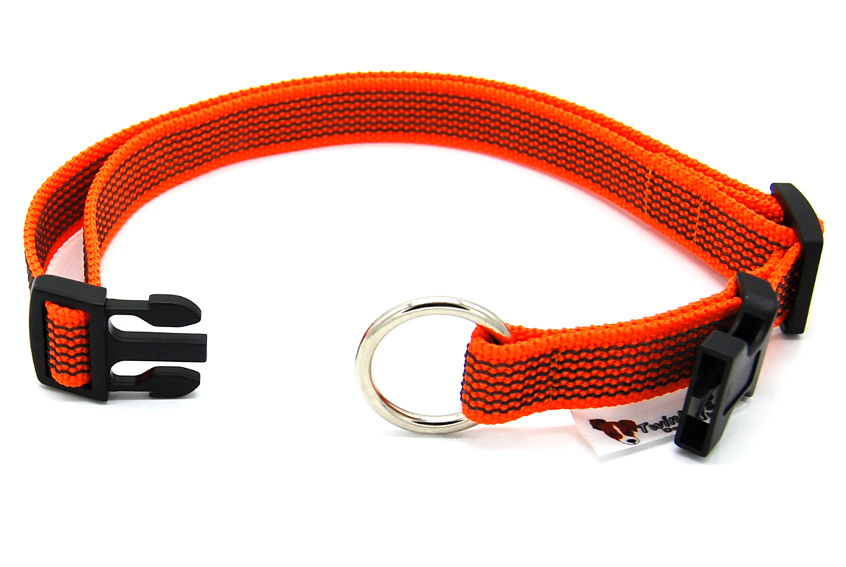 Orange gummiertes Halsband liegt komplett geöffnet auf weißem Hintergrund