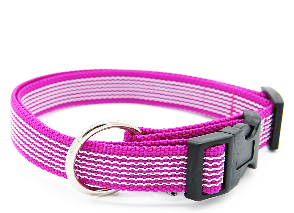 Pink gummiertes Halsband liegt geschlossen auf weißem Hintergrund