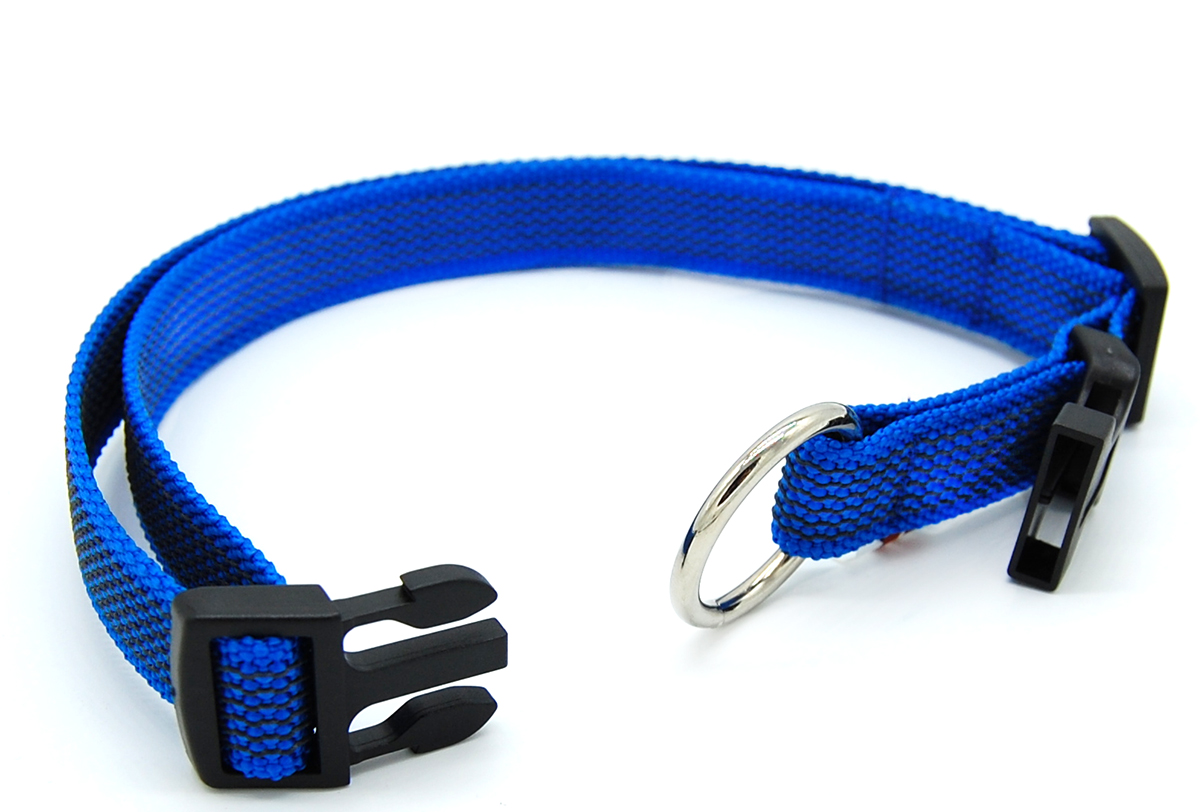 Blau gummiertes Halsband liegt komplett geöffnet auf weißem Hintergrund