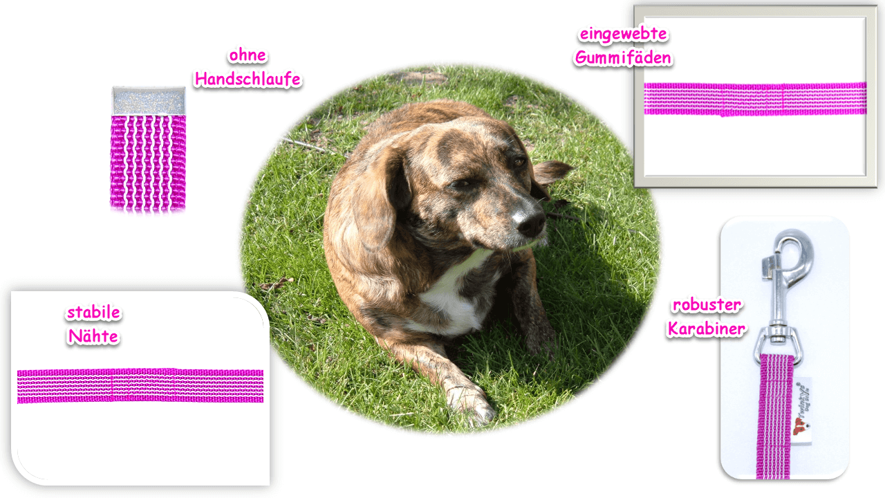 Vorteile Twinkys Dog Style Schleppleine pink gummiert ohne Handschlaufe Bild von Mischlingshund auf grünem Rasen in der Mitte. Um ihn herum Auflistung von Bildern und Schrift mit Vorteilen von pink gummierter Schleppleine ohne Handschlaufe.