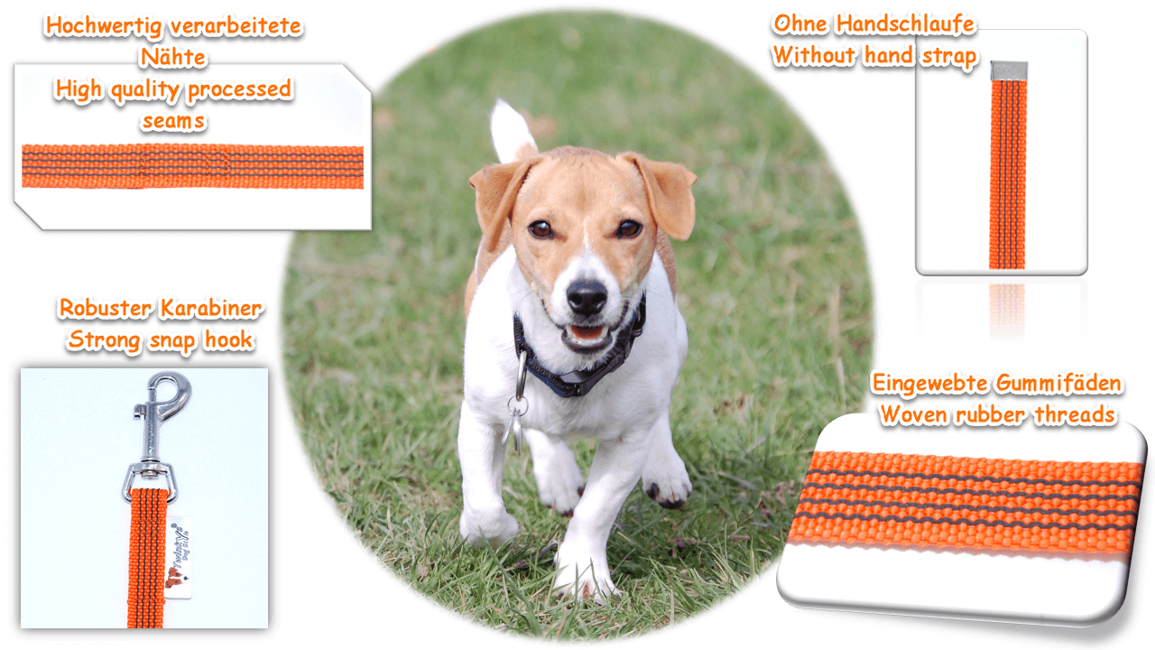 Bild von Jack Russell Terrier, der auf grünem Rasen auf Kamera zuläuft. Um ihn herum Bilder und Schrift mit Vorteilen von orange gummierter Schleppleine ohne Handschlaufe