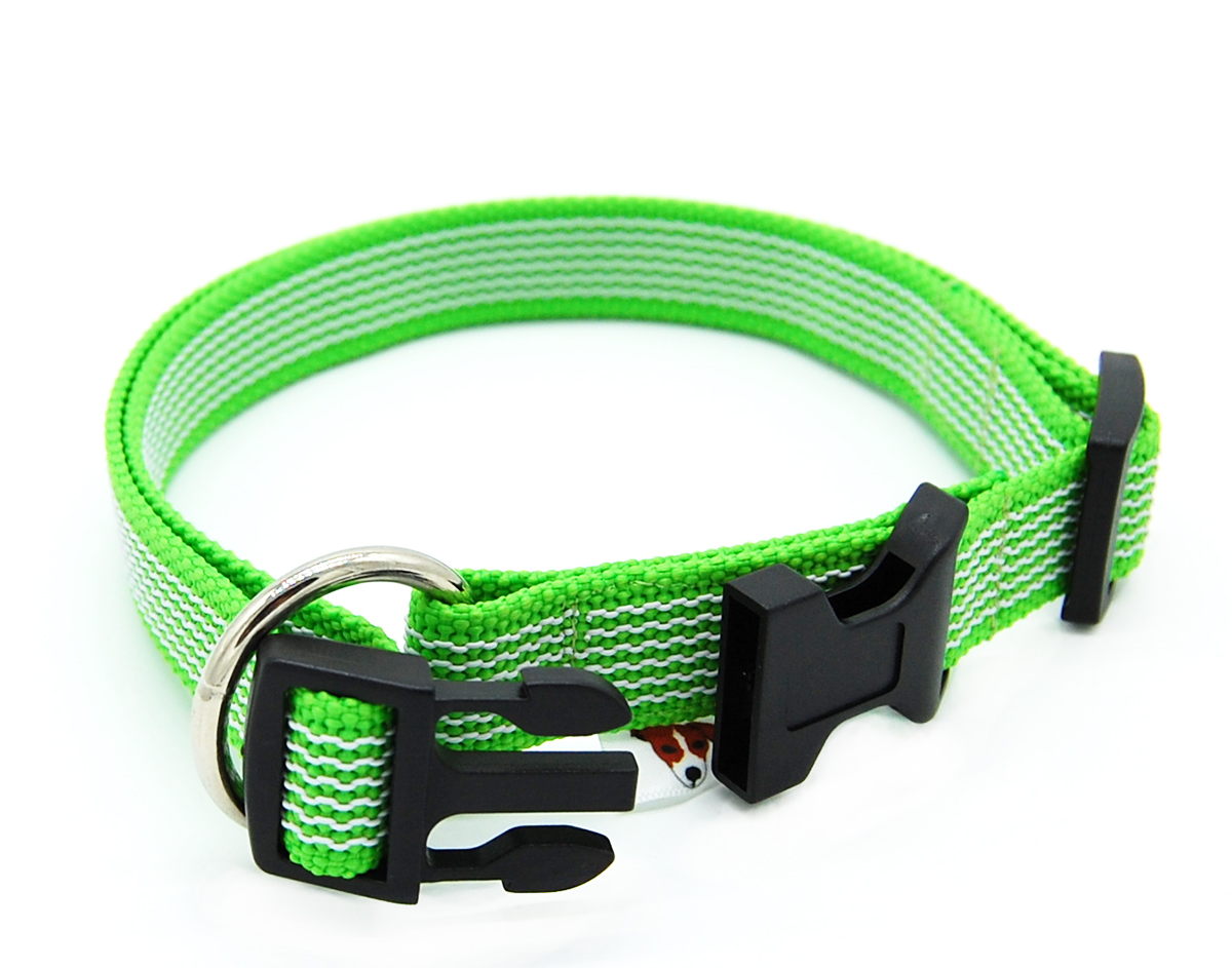 Hellgrün gummiertes Halsband 20 mm von Twinkys Dog Style im leicht geöffneten Zustand Hellgrün gummiertes Halsband liegt halb geöffnet auf weißem Hintergrund