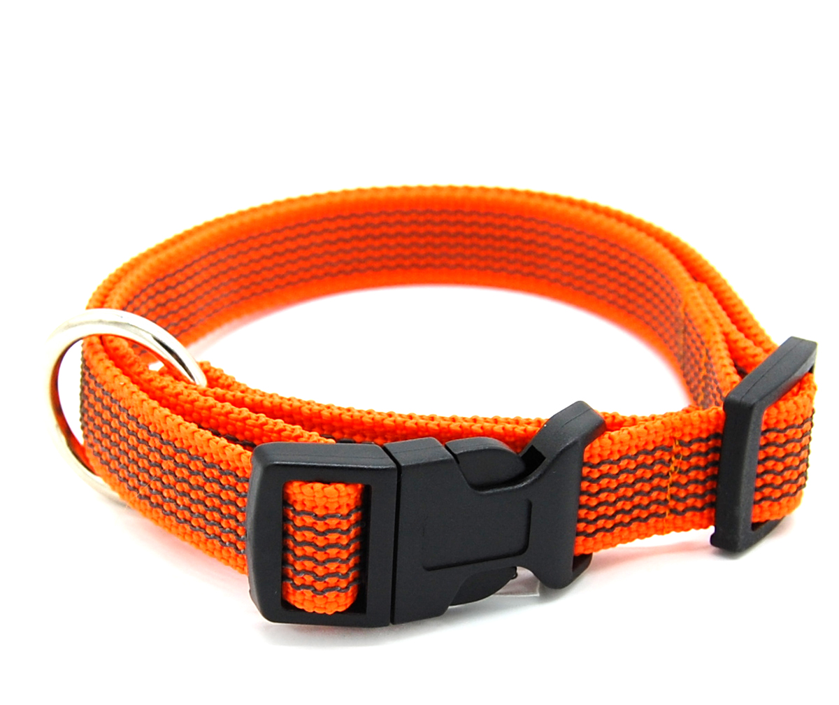 Orange gummiertes Halsband liegt geschlossen auf weißem Hintergrund