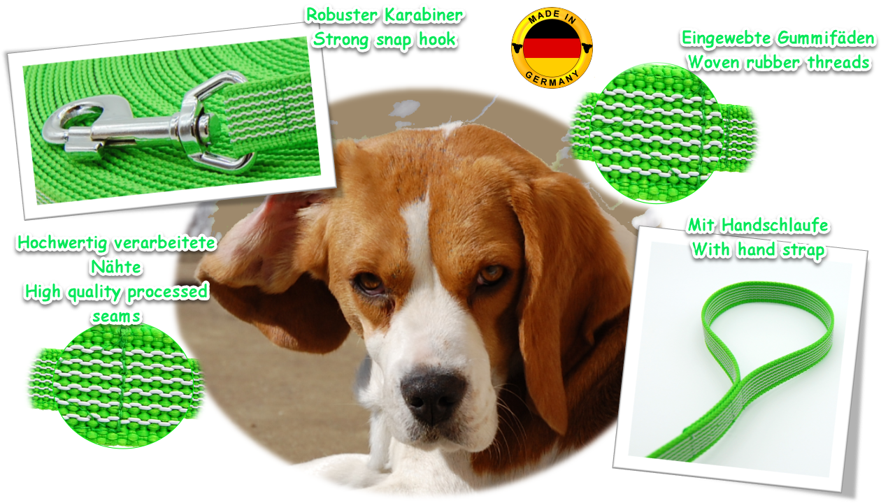 Vorteile Twinkys Dog Style Schleppleine hellgrün gummiert mit Handschlaufe Bild von Beagle in der Mitte. Um ihn herum Auflistung von Bildern und Schrift mit Vorteilen von hellgrüner Schleppleine mit Handschlaufe.