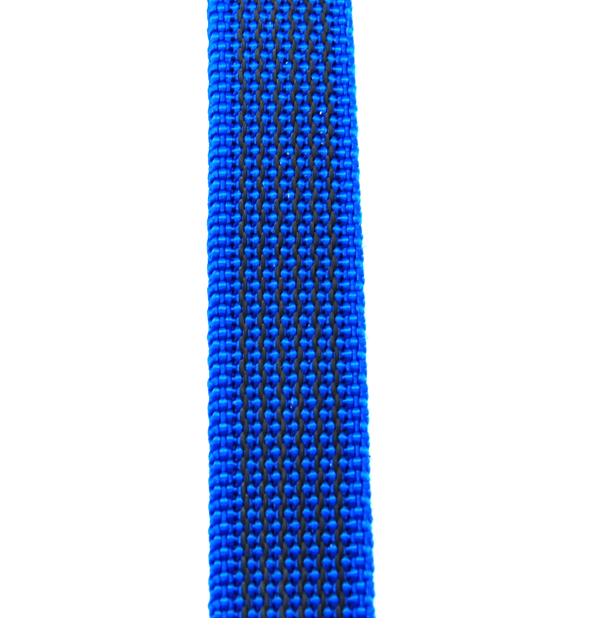 Nahaufnahme von blau gummierten Gurtband auf weißem Hintergrund