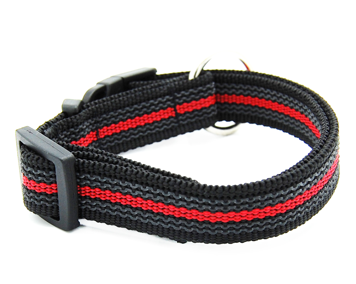 Schwarz Rot gummiertes Halsband liegt geschlossen etwas seitlich auf weißem Hintergrund