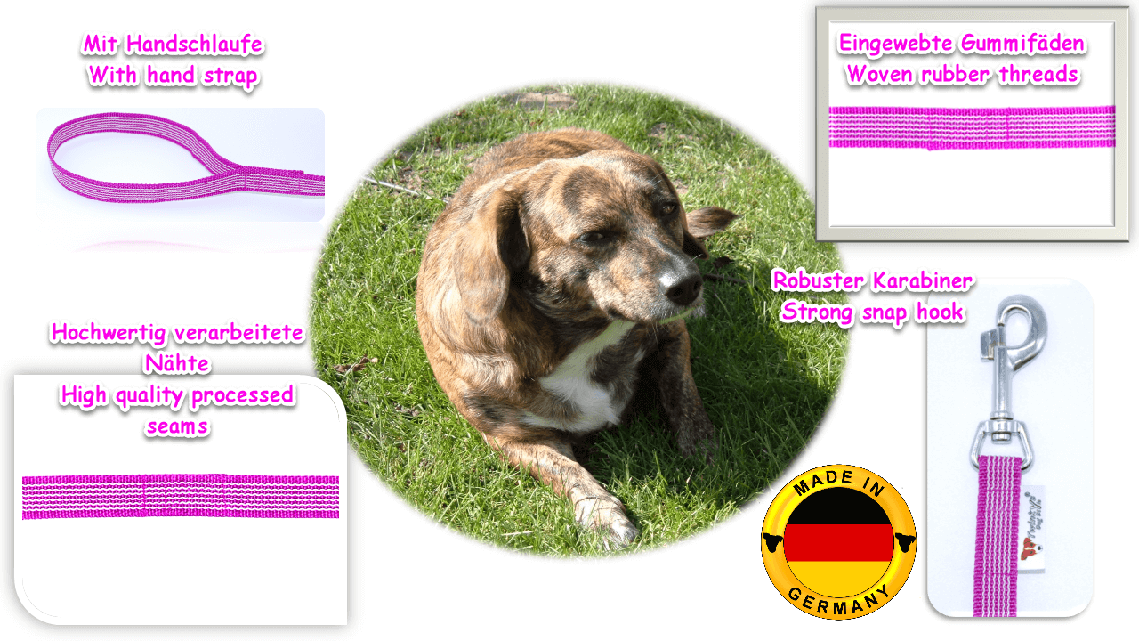 Bild von Mischlingshund auf grünem Rasen in der Mitte. Um ihn herum Auflistung von Bildern und Schrift mit Vorteilen von pink gummierter Schleppleine mit Handschlaufe.