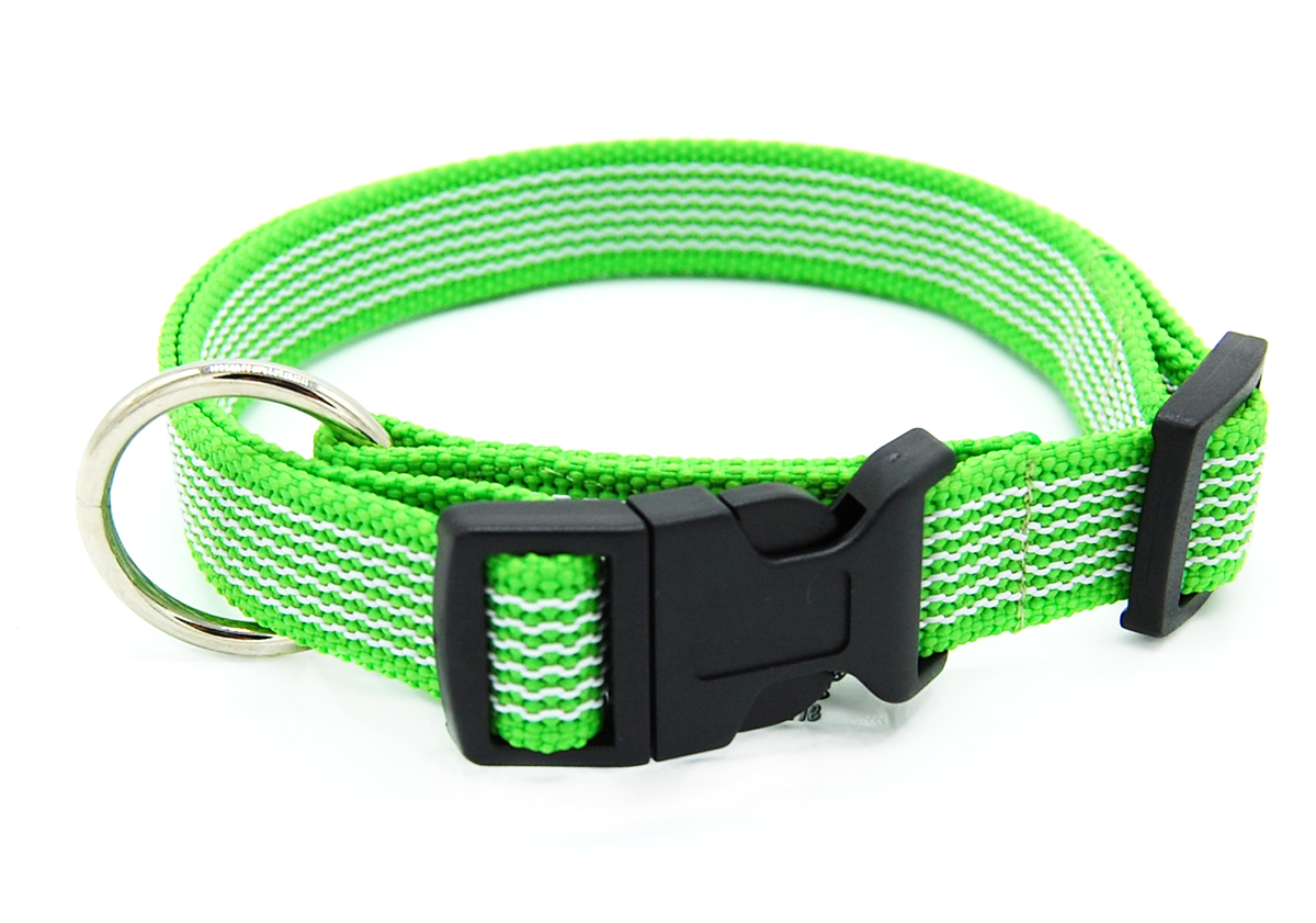 Hellgrün gummiertes Halsband 20 mm von Twinkys Dog Style im geschlossenen Zustand Hellgrün gummiertes Halsband liegt geschlossen auf weißem Hintergrund