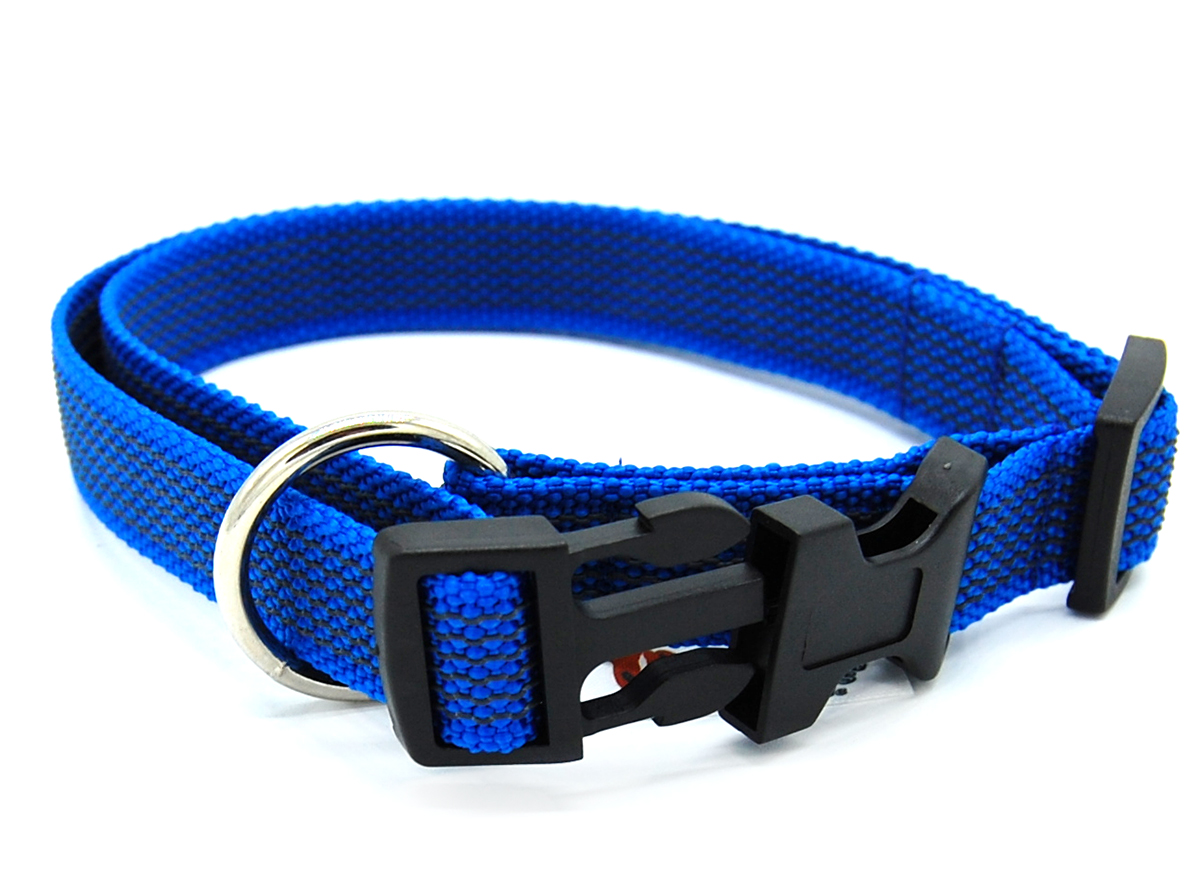 Blau gummiertes Halsband liegt halb geöffnet auf weißem Hintergrund