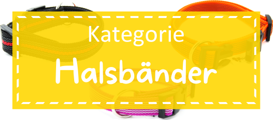 Kategoriebild Halsbänder Drei Halsbänder in verschiedenen Farben liegen auf weißem Hintergrund. Darüber ist ein leicht transparenter blauer Kasten gelegt auf dem mit weißer Schrift "Kategorie Halsbänder" steht
